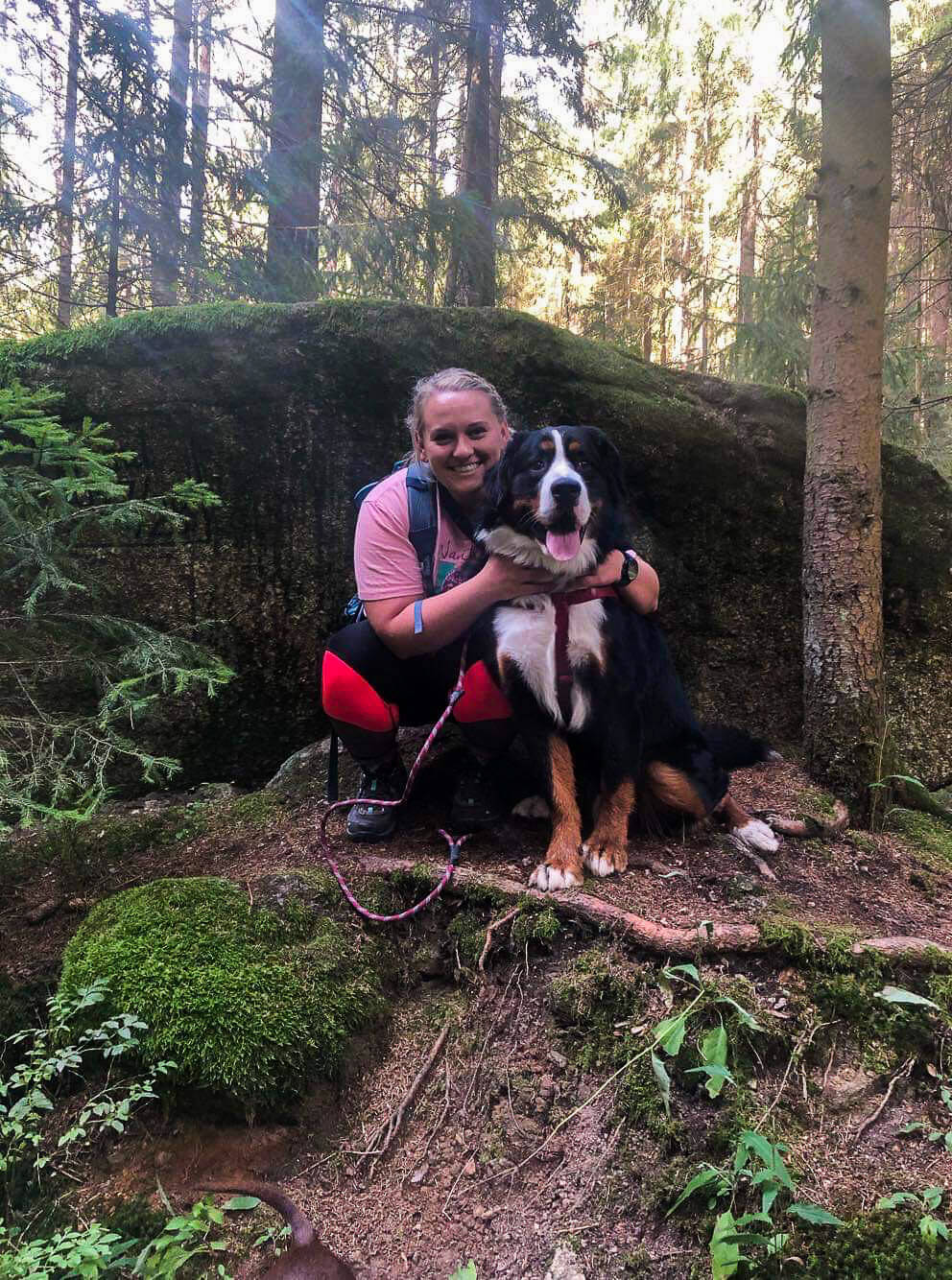 bernese mountain dog, hiking in waldnaabtal