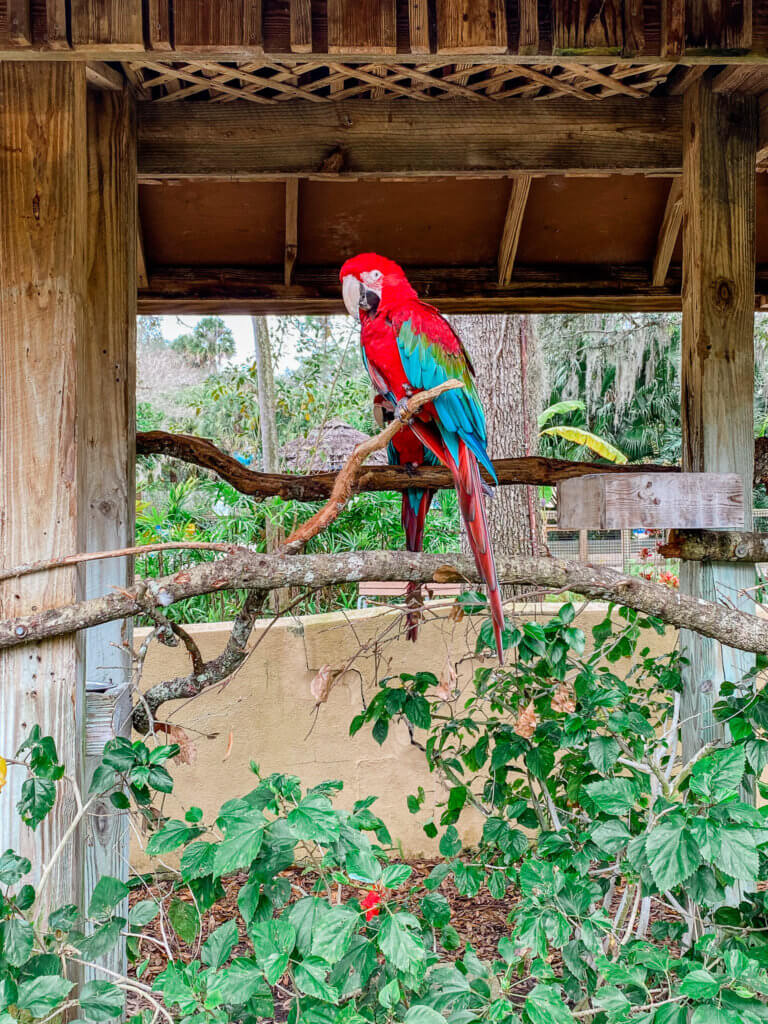 o Central Florida Zoo & Botanical Gardens