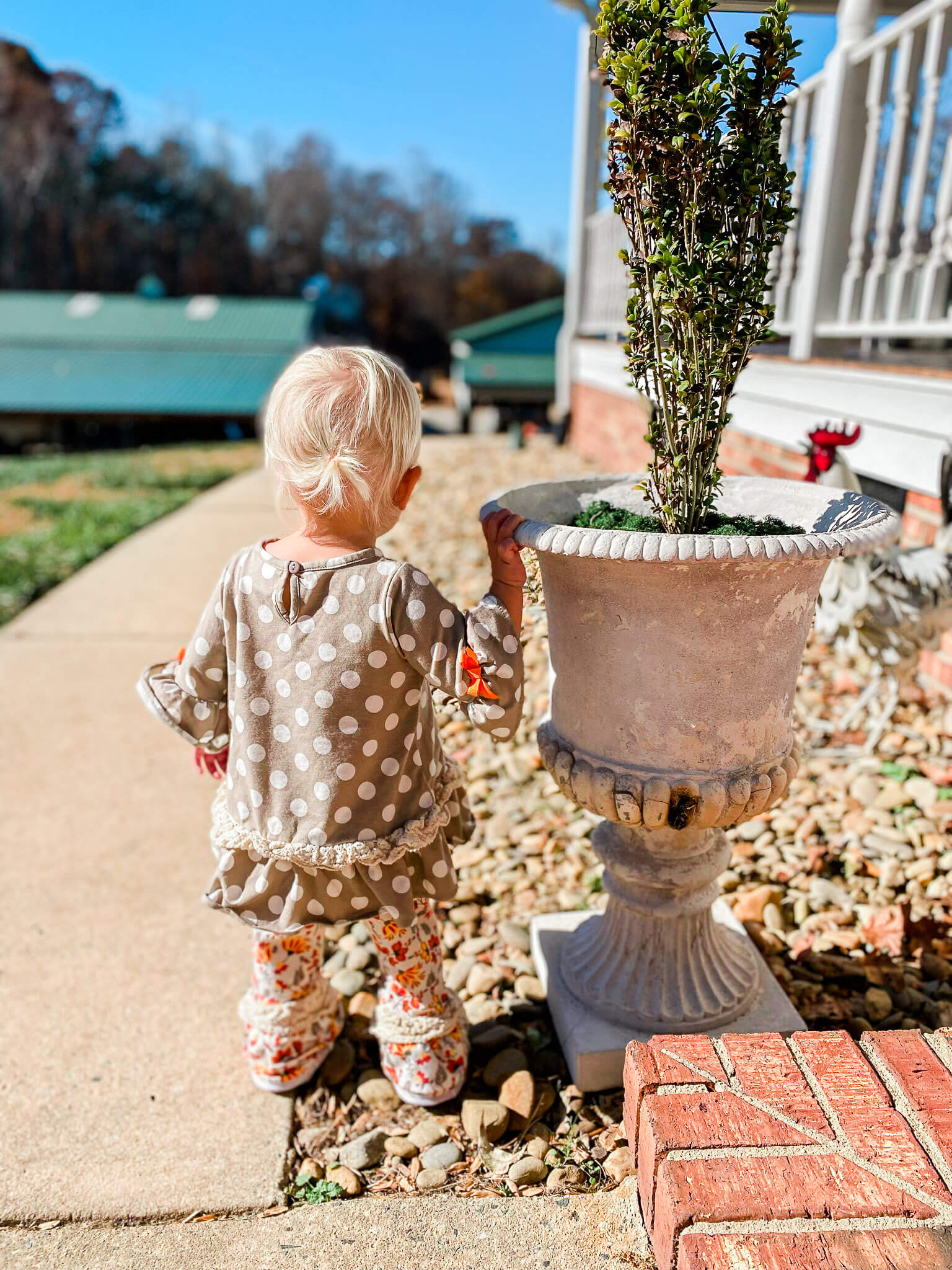 thanksgiving with toddler