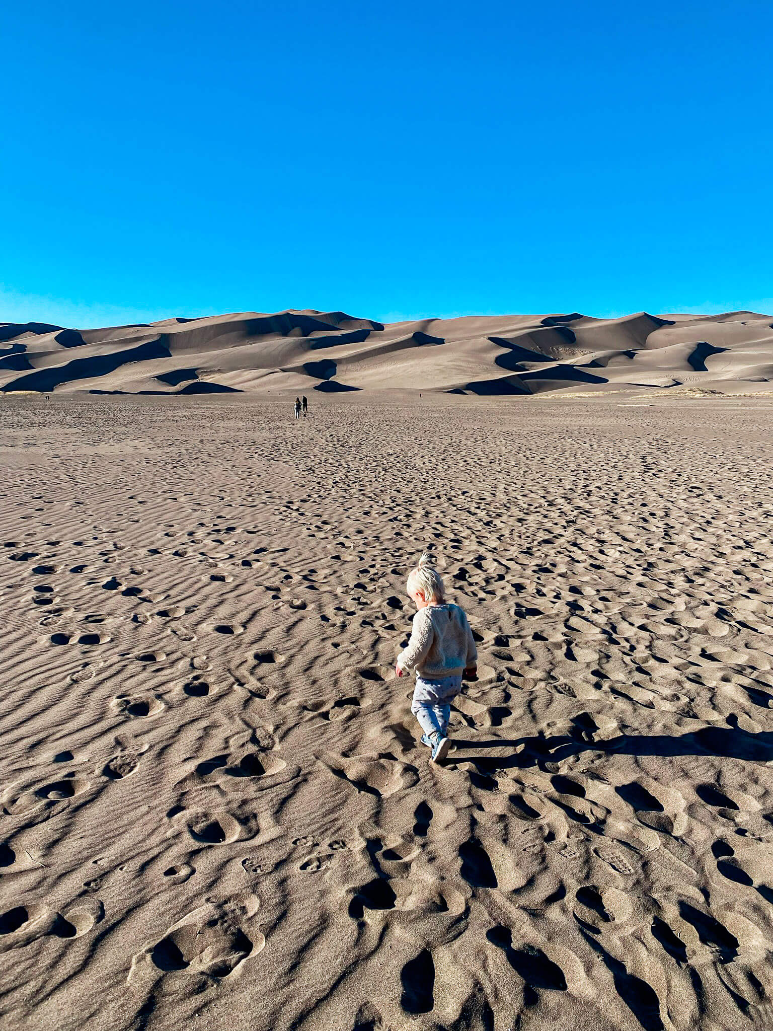toddler walking in great sand dunes national park colorado