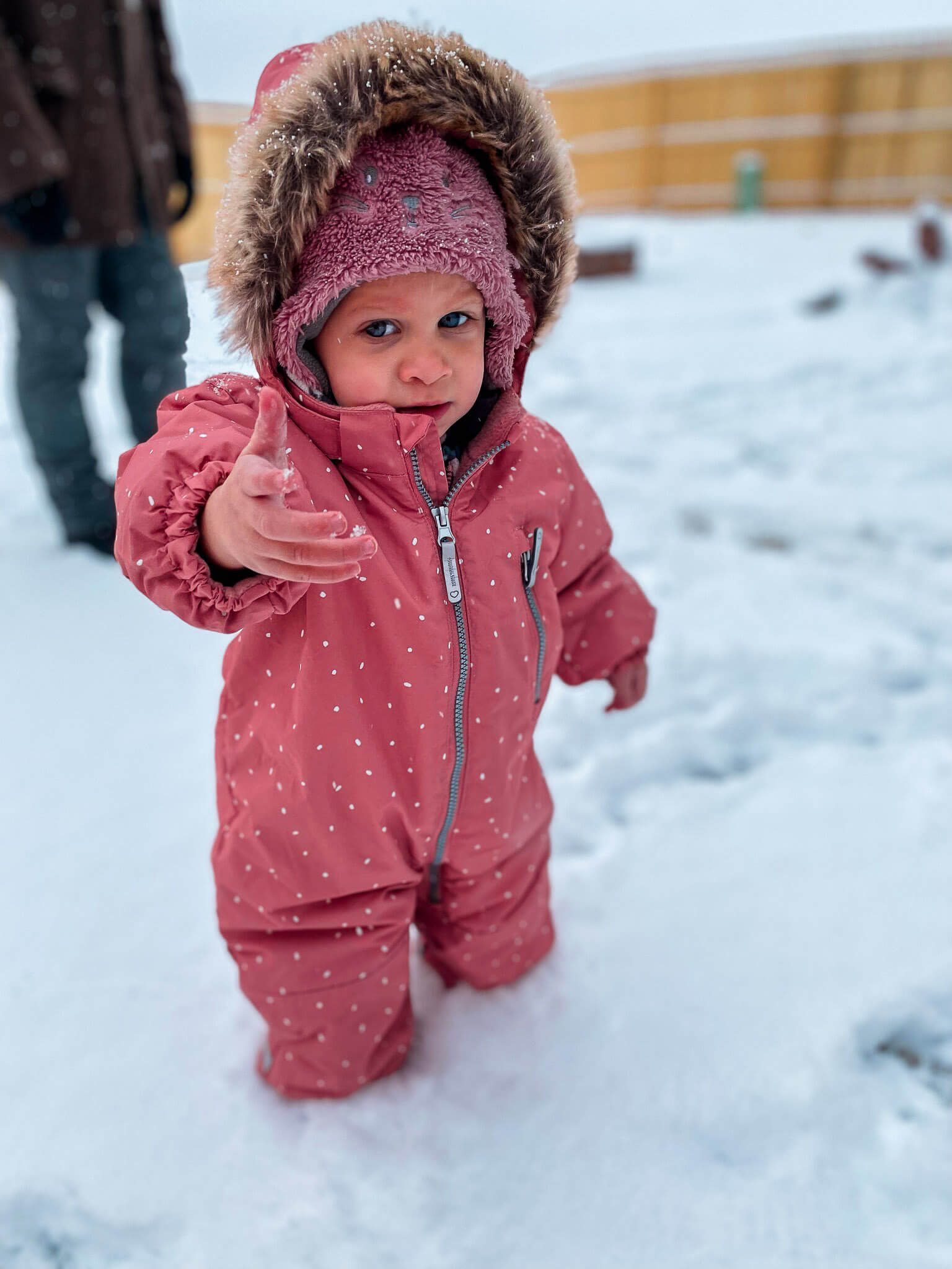 toddler playing in snow, colorado springs