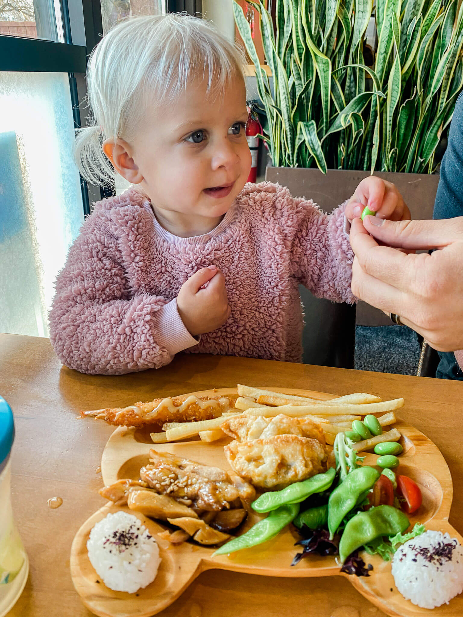 osaka's japanese, family friendly dining in boulder, colorado