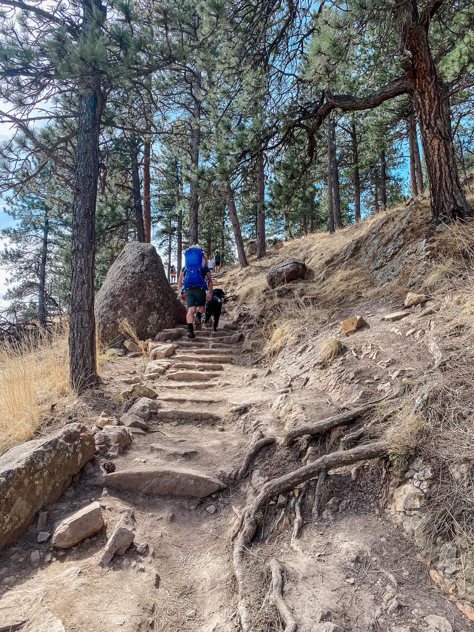 NCAR trail in boulder, colorado