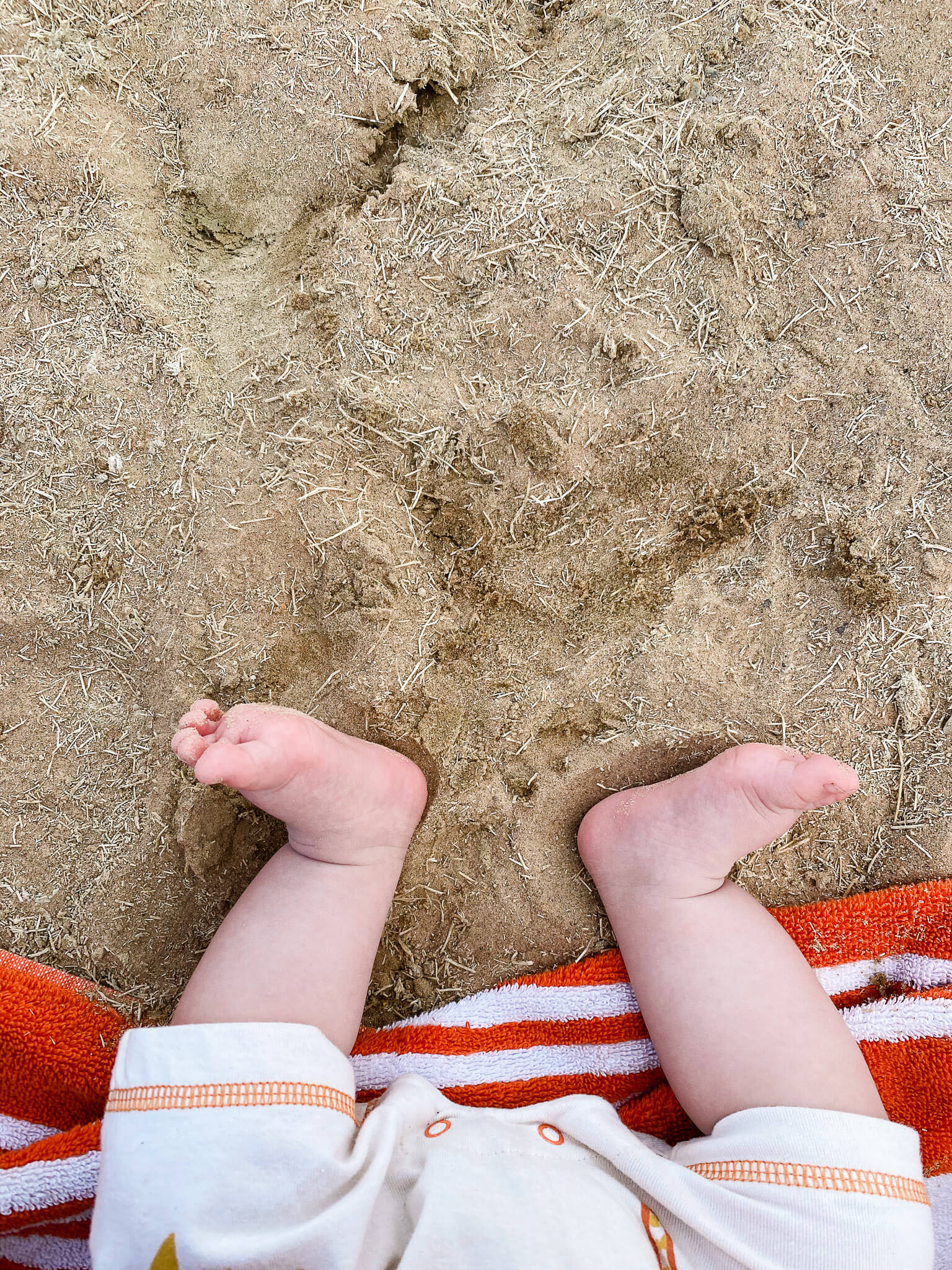 baby toes in the sand, flaming gorge utah
