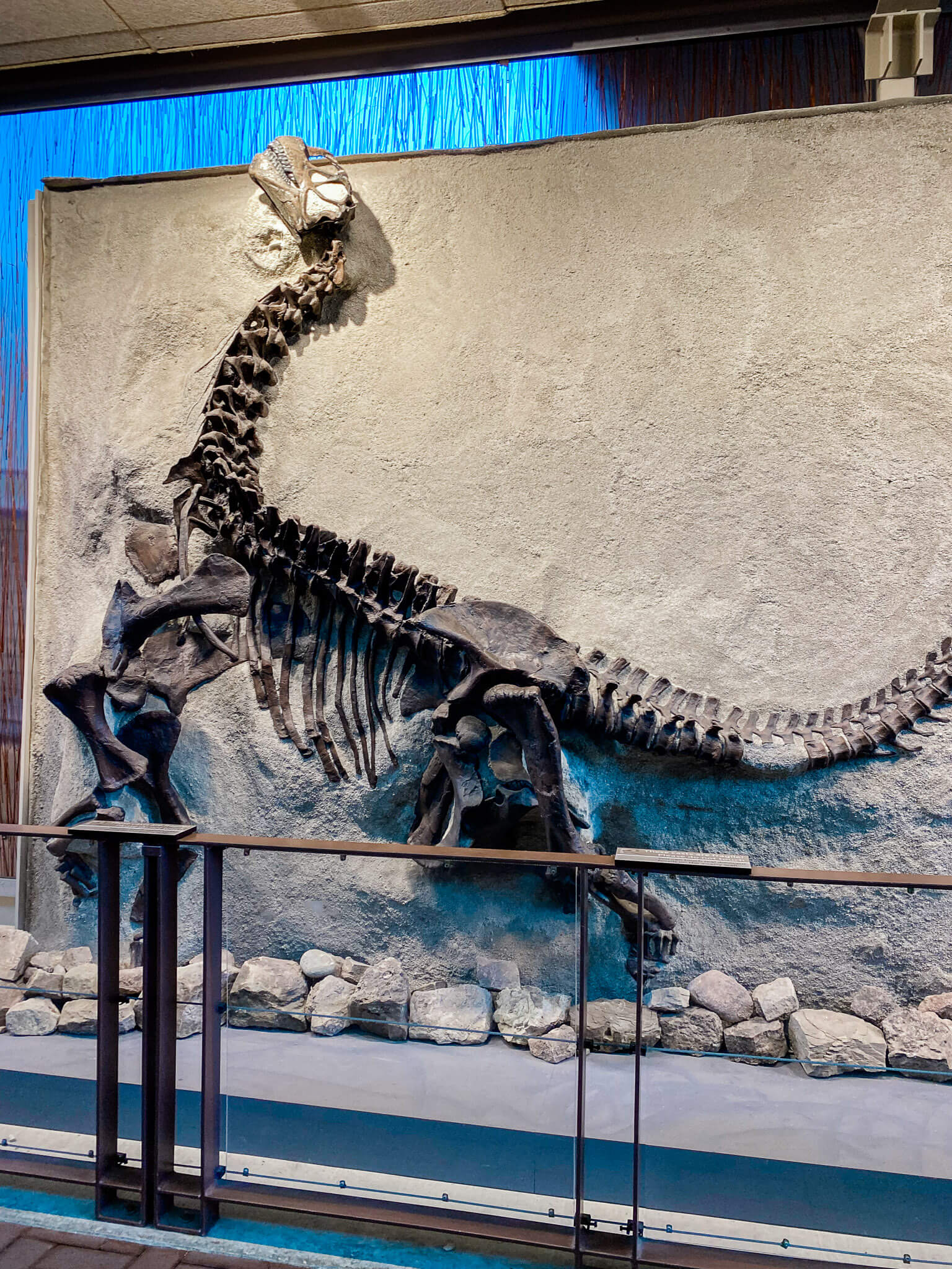 dinosaur national monument colorado