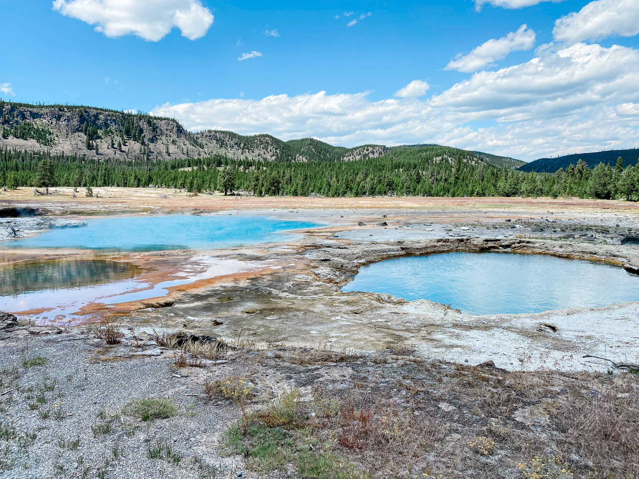 hot springs and pool of yellowstone national park wyoming