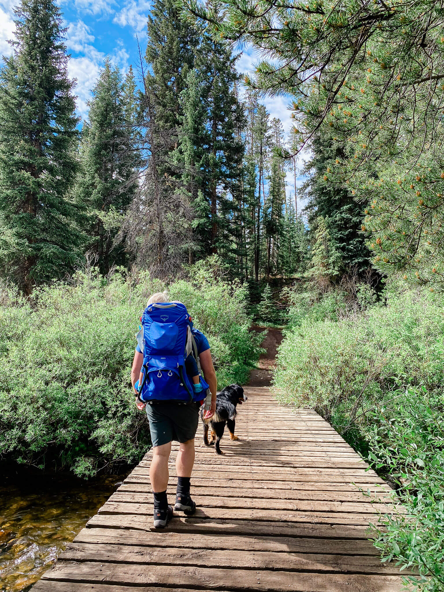 family hiking in fraser colorado