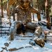 breckenridge troll, colorado