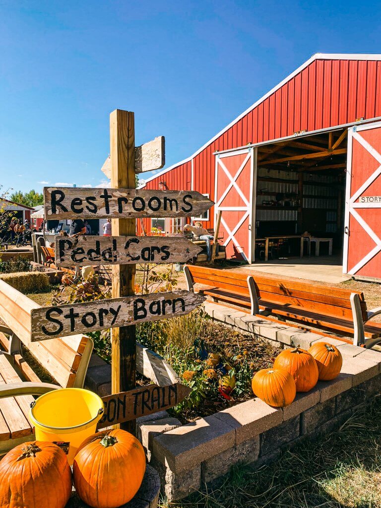 long neck pumpkin farm visit in colorado springs, colorado