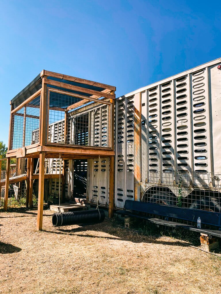 cow pen playground