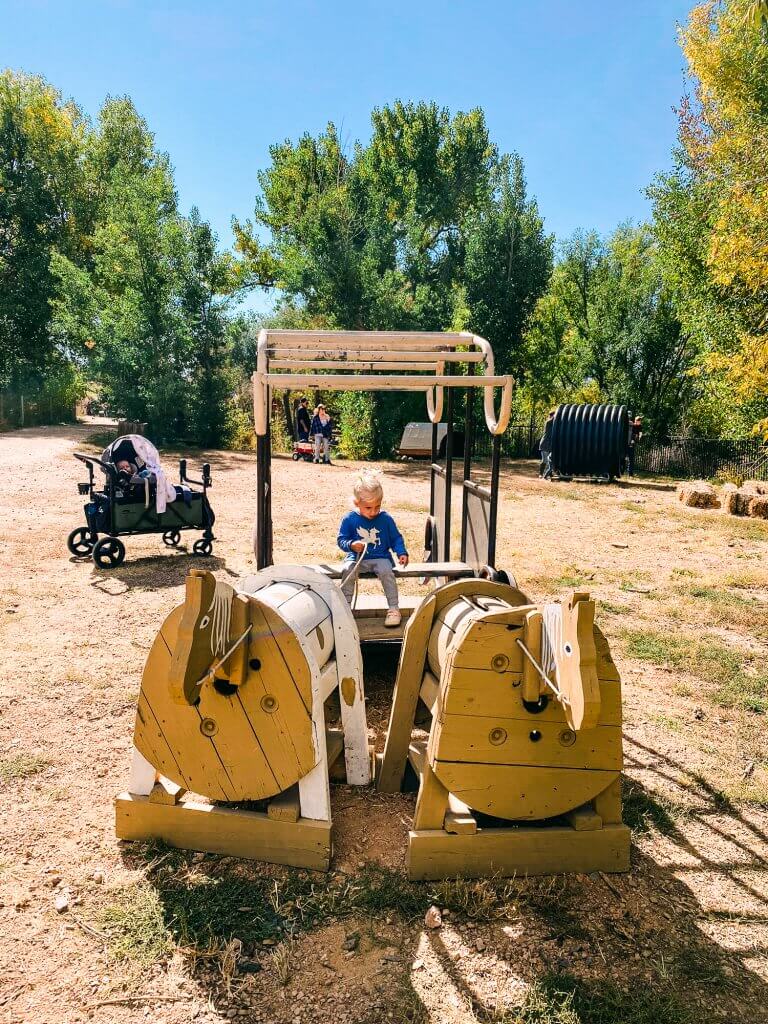 homemade horse and carriage