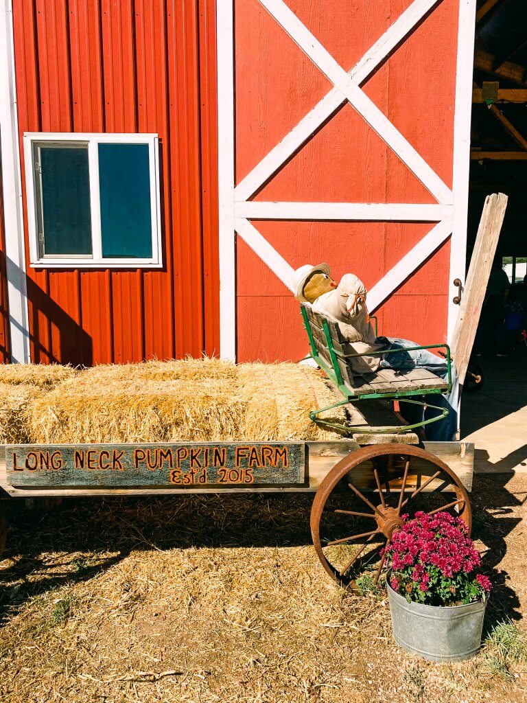 hay bales and wagon in front of red barn